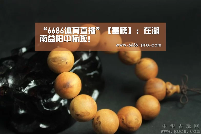 “6686体育直播”【重磅】:在湖南益阳中标啦!(图1) 6686体育直播